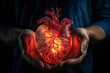 3d Human heart model, arteries and veins, cardiovascular disease, heart disease concept