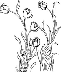 Canvas Print - Tulip flower decoration drawing