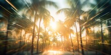 Amidst The Palm Trees With Sunlights Shimmering And Creating A Defocused Blur Effect