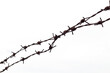 silhouette barbed wire on white background