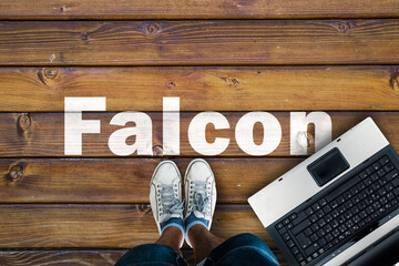 Wall Mural - legs in sneakers standing next to laptop and falcon on wooden floor. falcon programming language.
