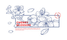 Japanese Sakura Cherry Blossom Tshirt Illustration Design
