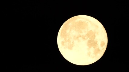 Wall Mural - A glowing golden huge full moon seen from earth through the atmosphere against a starry night sky. A large full moon moves across the sky, the moon moving from the left frame to the right.
