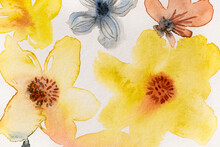 Watercolor Art Background With Meadow Flowers. Watercolor Flowers Yellow Pastel Colors On Paper 
