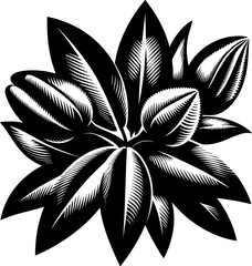 Cyclanthaceae plant icon 2