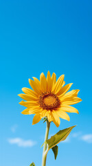 Wall Mural - Close up sunflower in sunny day vertical phone wallpaper. Created using generative AI.