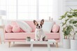 The muzzle and paws of a French bulldog puppy in the living room against the backdrop of a large bright window and a pink sofa.
​