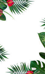 Wall Mural - tropical palm leaf and dieffenbachia, monstera, ficus benjamina, red flowers anthurium on white back