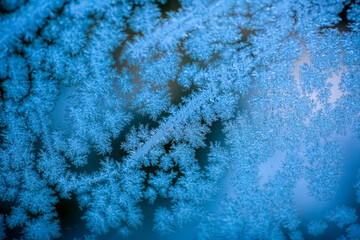 Canvas Print - Glass covered with frost