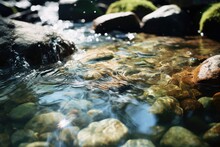Close-up Of Clear Water Flowing In A Spring Creek