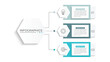 © M. Usnata wijaya - Business infographic design with 3 options. Vector thin line label with hexagons template