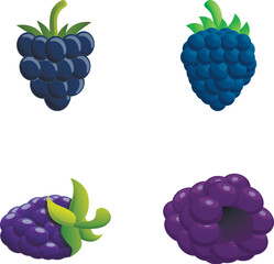 Sticker - Blackberries icons set cartoon vector. Fresh blackberry fruit with stem. Organic berry