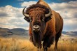 Bison in the grassland of the Okavango Delta, Botswana, American bison, AI Generated