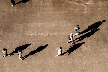 Wall Mural - top aerial view of people walking in work time at pedestrian plaza in autumn season. with lighting and shadow. Silhouette people concept