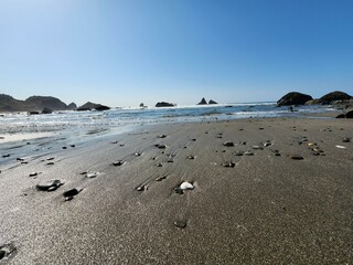 Sky Water Coastal and oceanic landforms Beach Landscape Wind wave