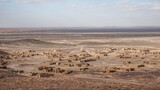 Fototapeta  - Panorama of a French mining village in the Sahara desert, Morocco.