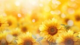 a bunch of yellow sunflowers in a field with a bright yellow boke of light in the background.
