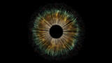 Fototapeta  - Eye Iris Digital Abstract Concept Entertainment Technology Artificial Intelligence 
