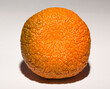 The mandarin orange (Citrus reticulata),mandarine, is a small citrus tree fruit. White background. Association with cellulite skin.