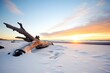 silhouette of driftwood against a snowy beach at sunset