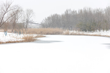 Wall Mural - A bridge covered with snow in winter