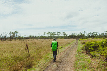 Wall Mural - Hiking man walking in the field with nature background, Travel concept, at Phu Kradueng National Park, Thailand