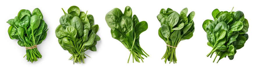 Wall Mural - Collection of Bundle of fresh spinach isolated on transparency background, PNG