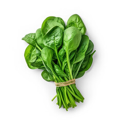 Wall Mural - Bundle of fresh spinach isolated on transparency background, PNG