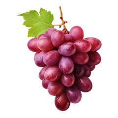 Wall Mural - Grapes isolated on transparen