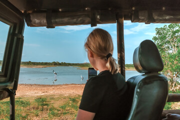 Wall Mural - Safari trip.Wildlife safari.Eco travel in the jungle with wild animals elephants.Tropical tourism in the wild life of elephants.Road trip jungle,eco safari.Elephant wild life