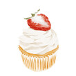Cupcake With Strawberry On Top Watercolor Painting. Hand Drawing. Sweet Desserts. 