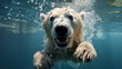 Close-up of a swimming polar bear underwater looking at the camera. Generative Ai