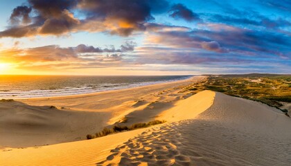 Wall Mural - dune beach panorama at sunset