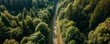 vue aérienne d'une route qui traverse une forêt, format panoramique