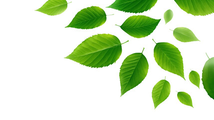 Wall Mural - green leaves falling