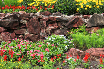 Natural landscape beauty flowers in the garden