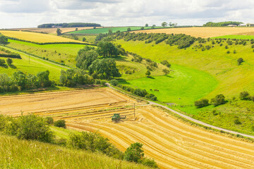 Wall Mural - Harvest time in Thixendale in the Yorkshire Dales, with horses, combine harvester, ripened crops and green meadows.  Space for copy.  Horizontal.