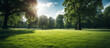 Perfect landscape with trees, forest, meadow, sky with clouds and sun - theme of healthy nature and nature conservation