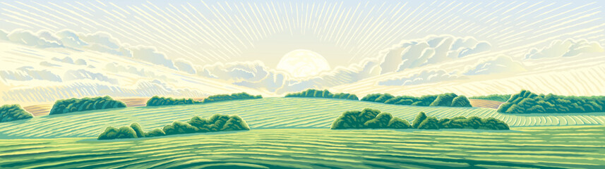 Wall Mural - Morning rural landscape with hills, an elongated format for the convenience of using it as a background.