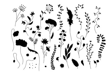 Wall Mural - Hand drawn wild flowers silhouettes illustrations set isolated on white background. Minimalist floral doodles.
