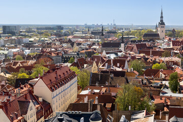 Wall Mural - Panorama of old town of Tallinn, Estonia