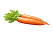 carrot isolated on transparent background