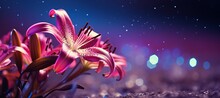 Purple Lily Flower On Isolated Magical Bokeh Background With Copy Space For Text Placement