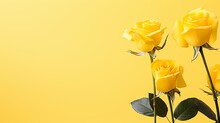 Yellow Rose On Right Side Against Yellow Isolated Background With Copy Space For Text Placement
