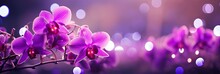 Purple Orchid With Bokeh Effect On Isolated Background, Ideal For Text Placement On The Left Side