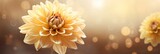 Yellow dahlia on isolated magical bokeh background with copy space for text placement