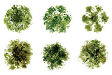 Vector Top View Of Trees And Bushes Vector Illustrations Set. Landscape Elements For Garden, Park Or Forest, Plants	
