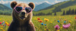 Bear wearing heart shaped sunglasses in a sunny meadow