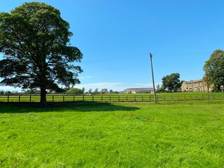 Wall Mural - Landscape view, from Priesthorpe Road, with fields, old trees, and farm buildings in, Farsley, Pudsey, UK