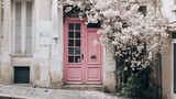 Fototapeta Do pokoju - Minimal Parisian Door with White Flowers
